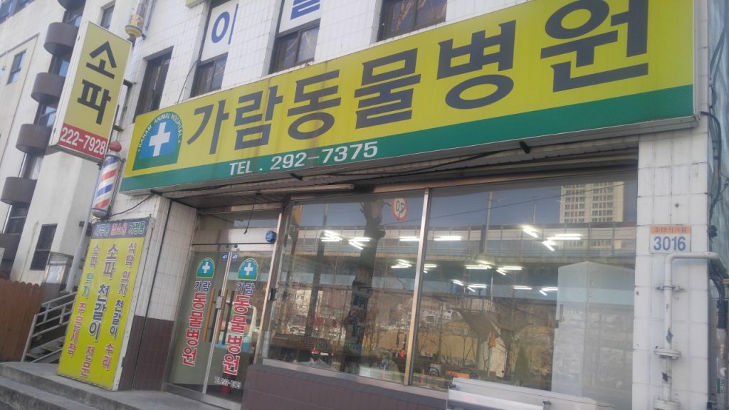 가람동물병원 사진 1