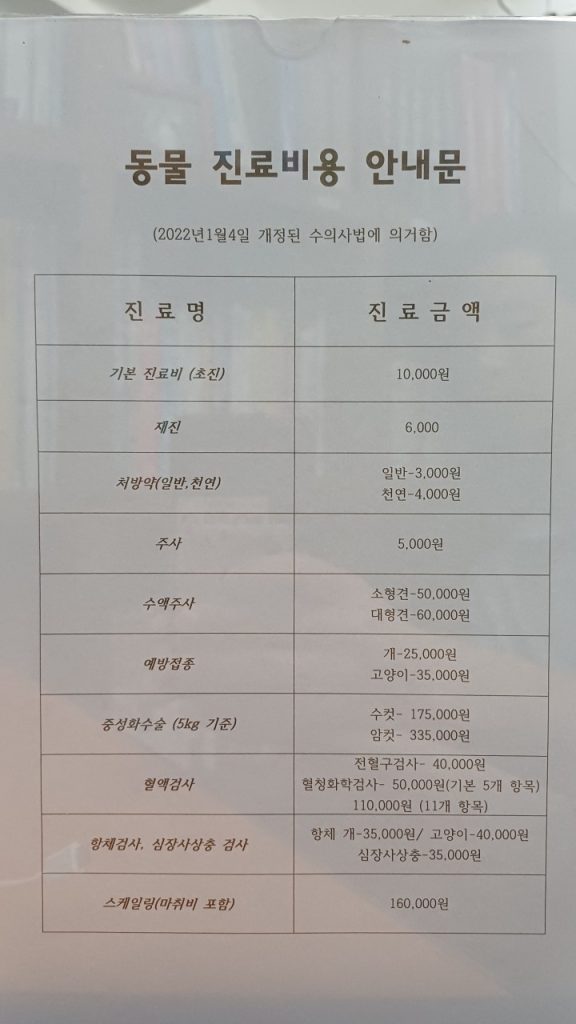 병원 진료비 이미지