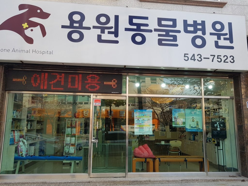 용원동물병원 사진 1