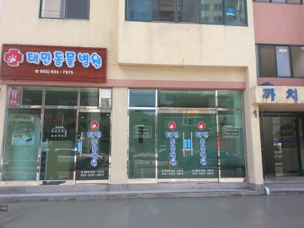 태민동물병원 사진 1