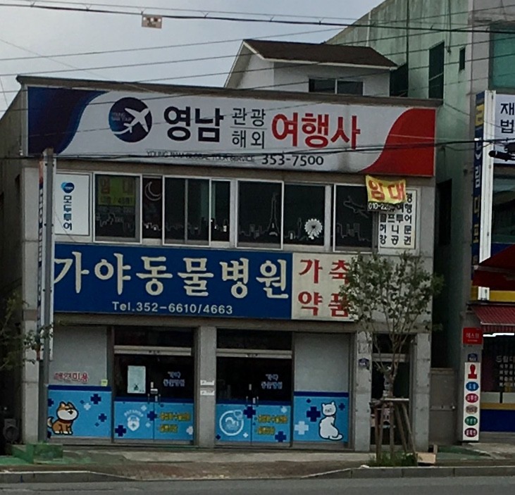 가야동물병원 사진 1