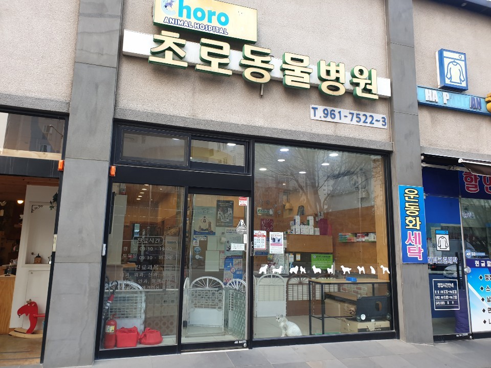 초로동물병원 사진 1