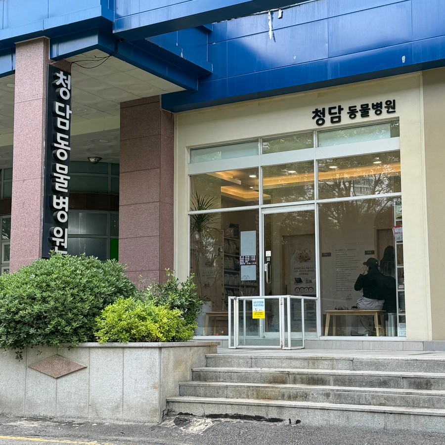 청담동물병원 사진 1